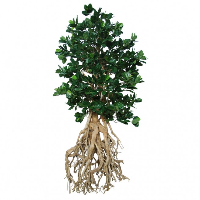 Planta semi-artificiala Ila, Jackfruit Root Giant Green - 250 cm